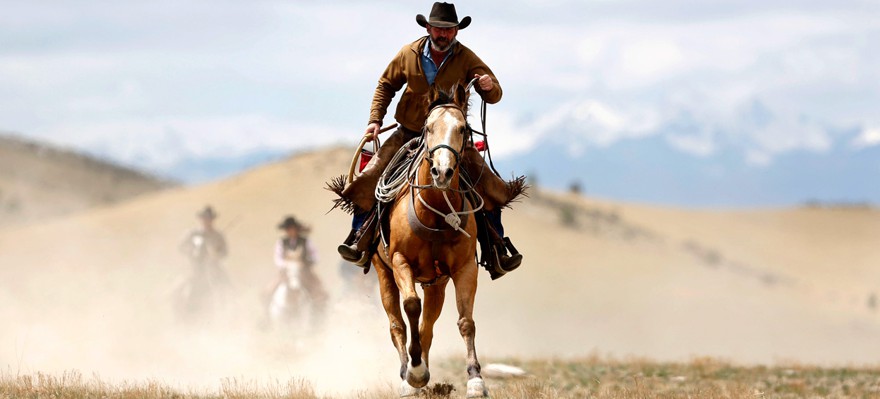 Protect Your Horse Against Reoccurring Joint Issues