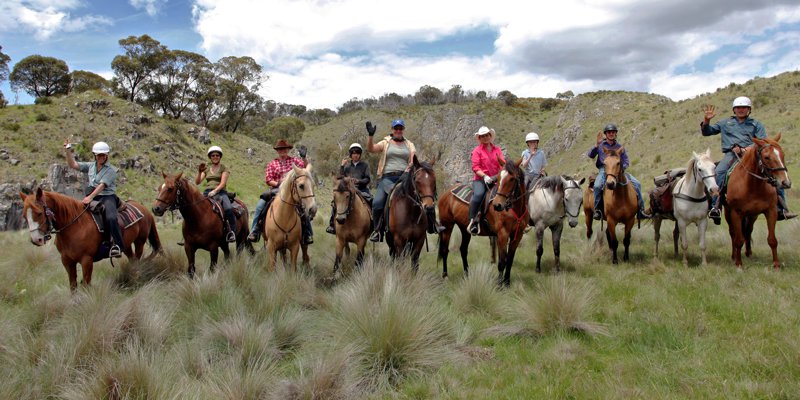 Protect Your Horse Against Reoccurring Joint Issues