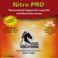 Treatment of Laminitis and Blood Flow in horses