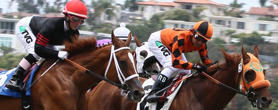 Equine Science Solutions